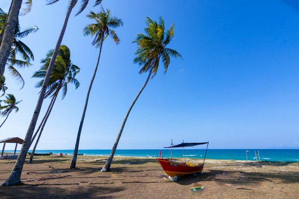 Quels sont les impacts du tourisme de masse sur les communautés locales ?